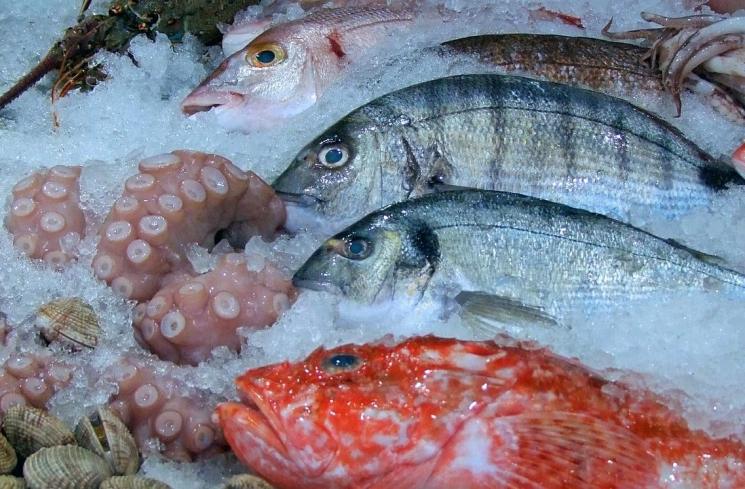 Ikan Segar vs Ikan Beku: Mana yang Lebih Baik?