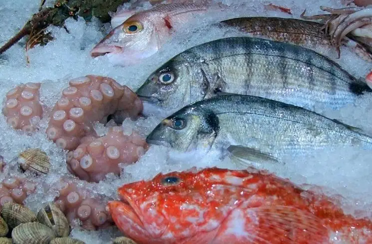 ikan beku