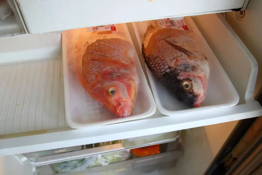 seafood beku