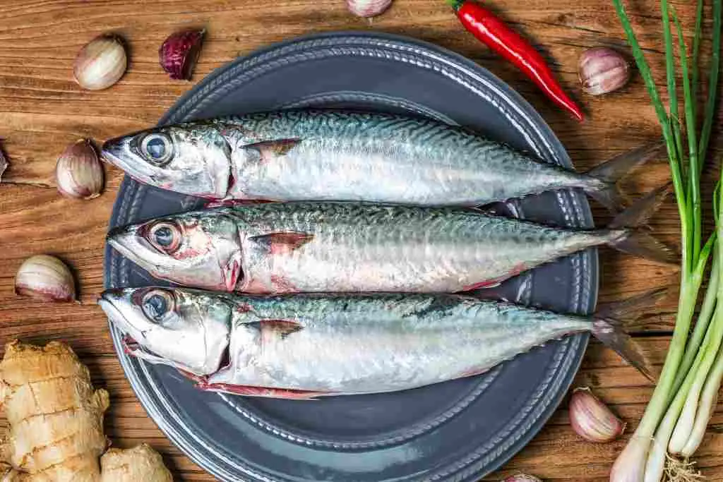 ikan tenggiri