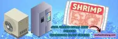 blast freezer