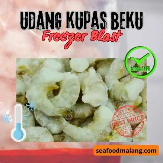 udang kupas beku